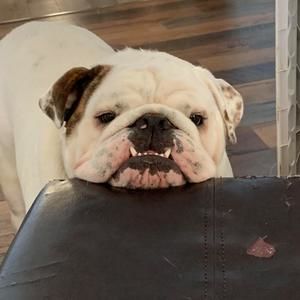 Meet your Posher, Kyle